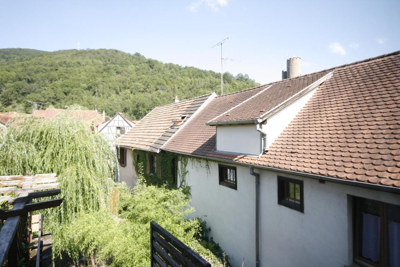 Appartement Le Keiler ケゼルスベール エクステリア 写真